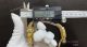 Noob V13 Swiss Copy Rolex Cosmo Daytona Rainbow Baguette Markers Yellow Gold 40mm (5)_th.jpg